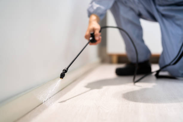 Licensed Mosquito Control service in North Lakes, AK - Show Me Pest Control