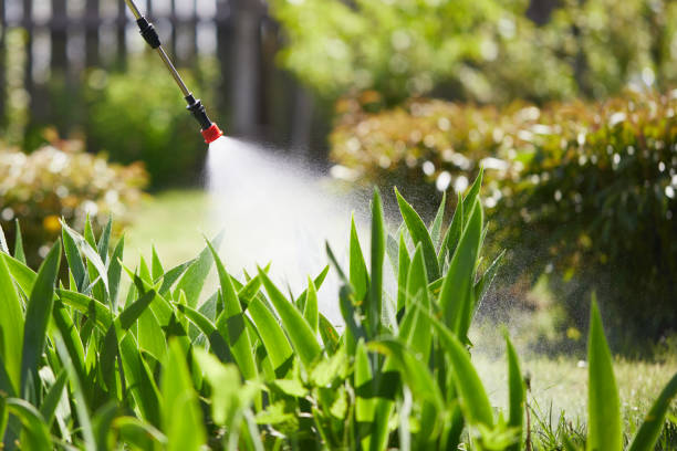 24/7 Emergency Mosquito Control experts in North Lakes, AK