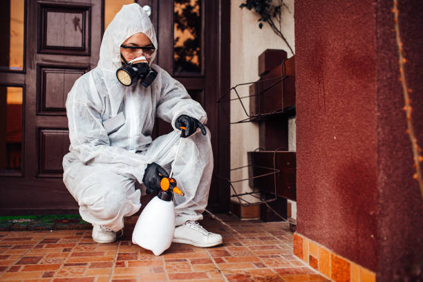 Reliable Mosquito Control contractor in North Lakes, AK by Show Me Pest Control