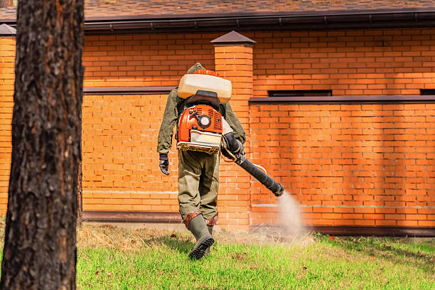 Top rated local Mosquito Control specialists in North Lakes, AK